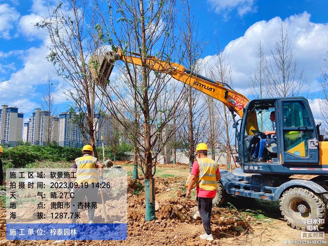 園林綠化的匠心構筑 從苗木培育到假山造景的施工現(xiàn)場實錄